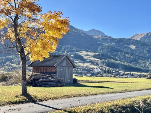 gelb gefärbte Blätter am Baum neben Holzhütte